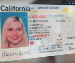 加州 DMV 系统错误 约 32.5 万名居民需重新办理 REAL ID