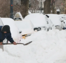 纽约人注意：不用“铲后”抑郁，换边停车暂停至2/1，本周无需挪车