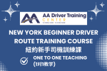 NYC 罚单处理+新手司机上路带教，一站式解决新手司机困扰~