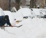 纽约人注意：不用“铲后”抑郁，换边停车暂停至2/1，本周无需挪车