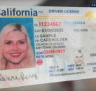 加州 DMV 系统错误 约 32.5 万名居民需重新办理 REAL ID