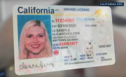 加州 DMV 系统错误 约 32.5 万名居民需重新办理 REAL ID