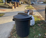 乱丢圣诞节庆垃圾 小心吃罚单