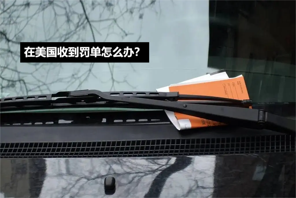 在美国收到交通罚单怎么办？