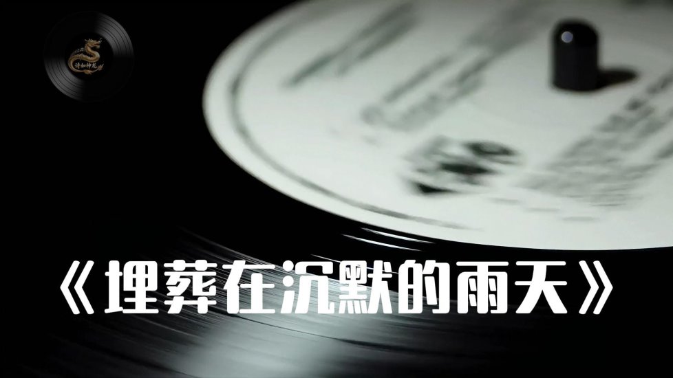 《埋葬在沉默的雨天》-封面.jpg